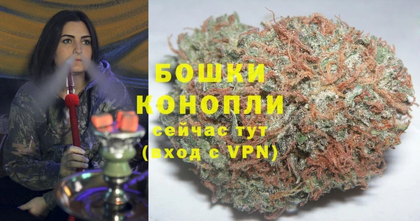 PSILOCYBIN Алзамай