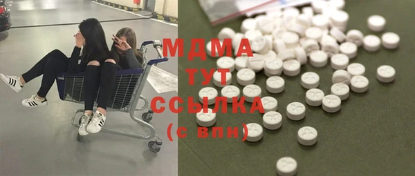 PSILOCYBIN Алзамай
