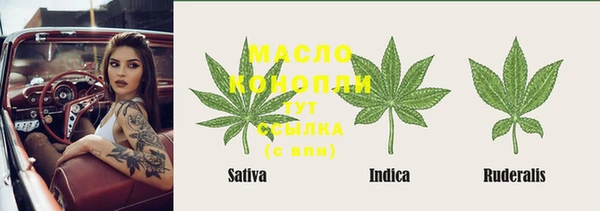 PSILOCYBIN Алзамай
