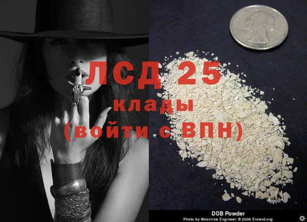 spice Алексеевка