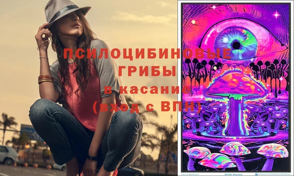 PSILOCYBIN Алзамай
