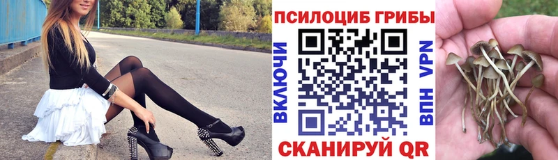 где можно купить   Керчь  darknet клад  Галлюциногенные грибы прущие грибы 